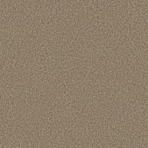 Shaw Floors Carpet Prescott Valley Roasted 00714_5E831