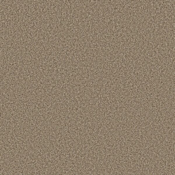 Shaw Floors Carpet Prescott Valley Roasted 00714_5E831