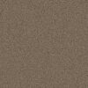 Shaw Floors Carpet Prescott Valley Joshua Tree 00716_5E831
