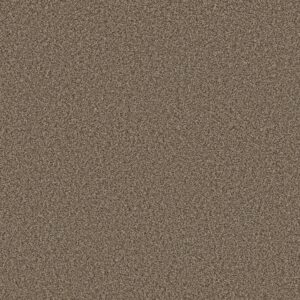 Shaw Floors Carpet Prescott Valley Joshua Tree 00716_5E831