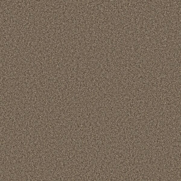 Shaw Floors Carpet Prescott Valley Joshua Tree 00716_5E831