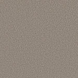 Shaw Floors Carpet Prescott Valley Pashmina 00754_5E831