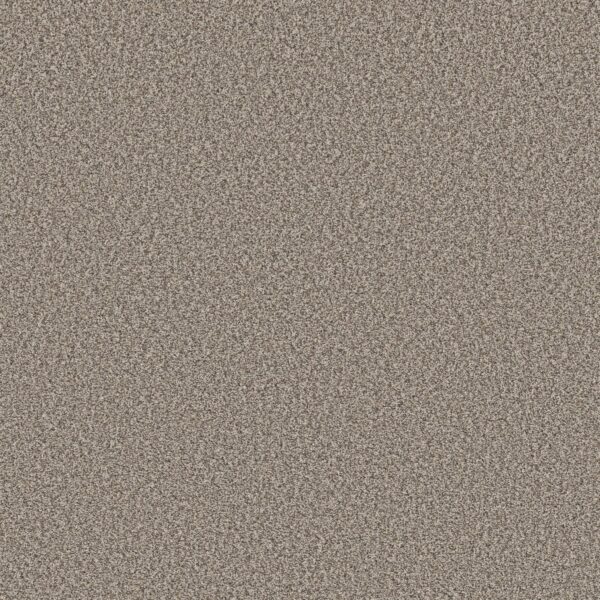Shaw Floors Carpet Prescott Valley Pashmina 00754_5E831