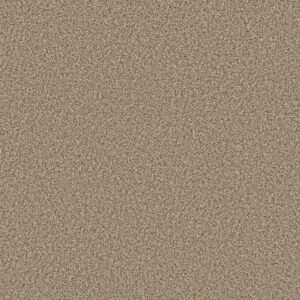 Shaw Floors Carpet Prescott Valley Nutshell 00764_5E831