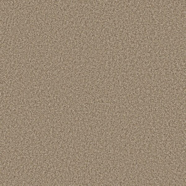 Shaw Floors Carpet Prescott Valley Nutshell 00764_5E831