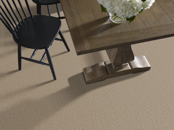 Shaw Floors Carpet Prescott Valley Nutshell 00764_5E831 - Image 2
