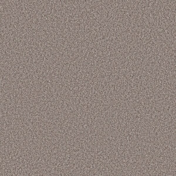 Shaw Floors Carpet Prescott Valley Chic Taupe 00775_5E831