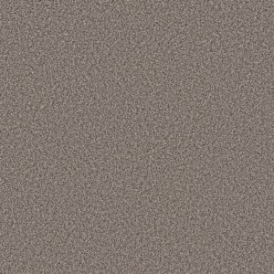 Shaw Floors Carpet Prescott Valley Espresso 00777_5E831