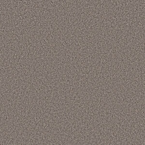 Shaw Floors Carpet Prescott Valley Espresso 00777_5E831