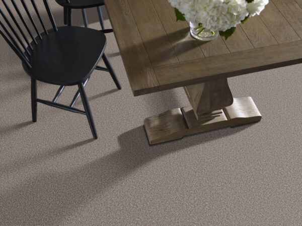 Shaw Floors Carpet Prescott Valley Espresso 00777_5E831 - Image 2