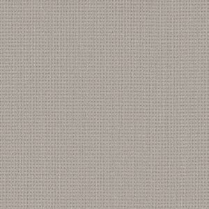 Shaw Floors Carpet Finely Detailed Twilight 00101_5E842