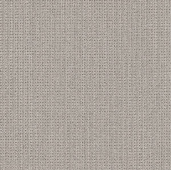 Shaw Floors Carpet Finely Detailed Twilight 00101_5E842