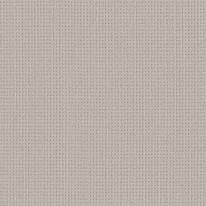 Shaw Floors Carpet Finely Detailed Sand Dunes 00102_5E842