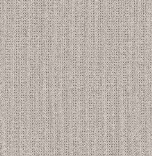 Shaw Floors Carpet Finely Detailed Sand Dunes 00102_5E842