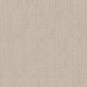 Shaw Floors Carpet Finely Detailed Wool Blanket 00105_5E842