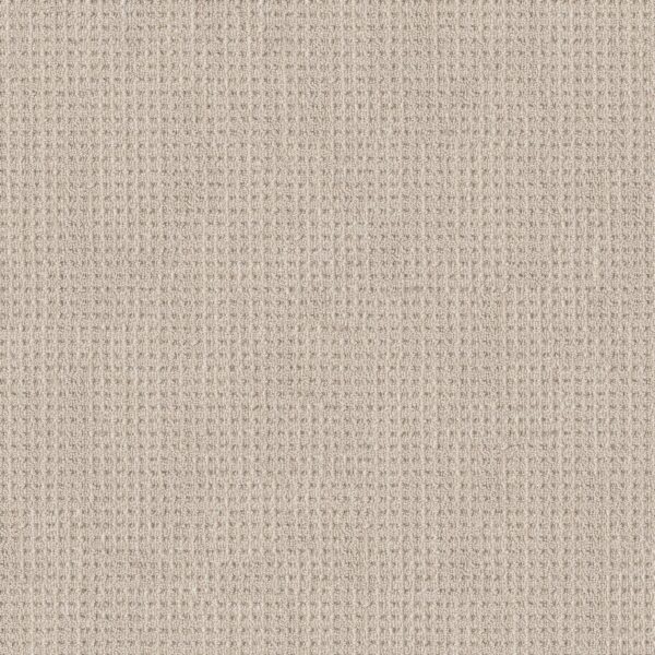 Shaw Floors Carpet Finely Detailed Wool Blanket 00105_5E842