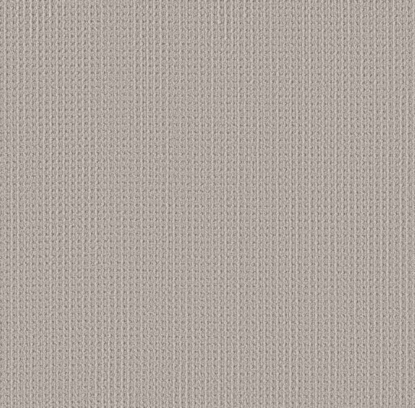 Shaw Floors Carpet Finely Detailed Marble 00108_5E842