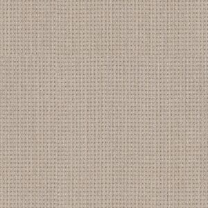 Shaw Floors Carpet Finely Detailed Sun Bleached 00110_5E842