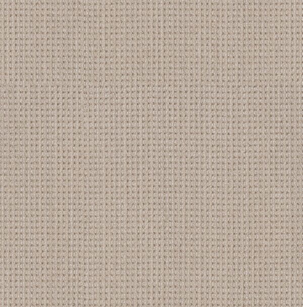 Shaw Floors Carpet Finely Detailed Sun Bleached 00110_5E842