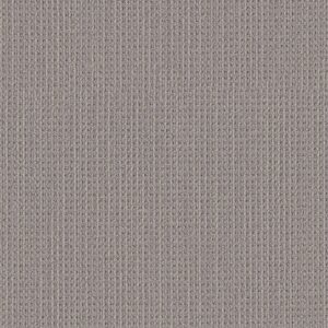 Shaw Floors Carpet Finely Detailed Essential Gray 00504_5E842