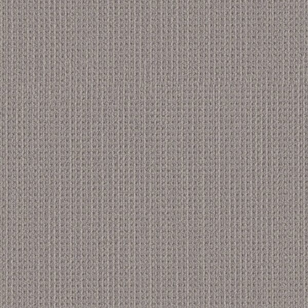Shaw Floors Carpet Finely Detailed Essential Gray 00504_5E842