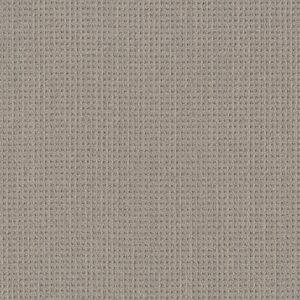 Shaw Floors Carpet Finely Detailed Warm Taupe 00505_5E842