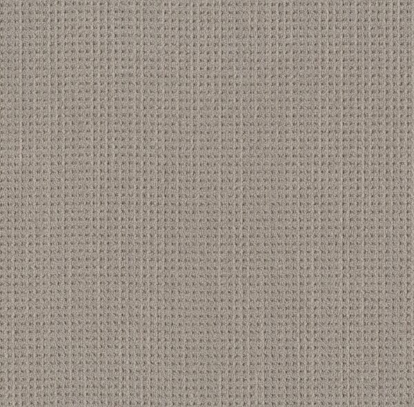 Shaw Floors Carpet Finely Detailed Warm Taupe 00505_5E842