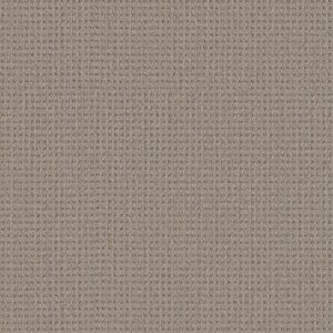 Shaw Floors Carpet Finely Detailed Natural Sisal 00705_5E842