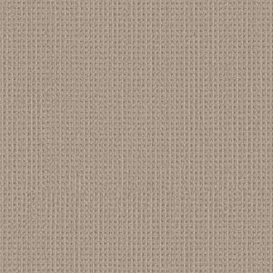 Shaw Floors Carpet Finely Detailed Basketry 00706_5E842