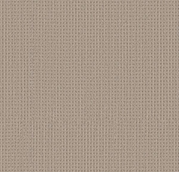 Shaw Floors Carpet Finely Detailed Basketry 00706_5E842