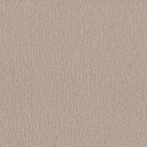 Shaw Floors Carpet Studio Set Twine 00100_5E869
