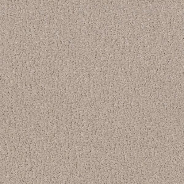 Shaw Floors Carpet Studio Set Twine 00100_5E869