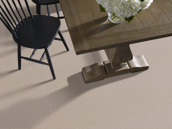Shaw Floors Carpet Studio Set Twine 00100_5E869 - Image 2