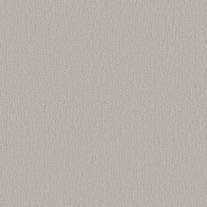 Shaw Floors Carpet Studio Set Forest Fog 00107_5E869