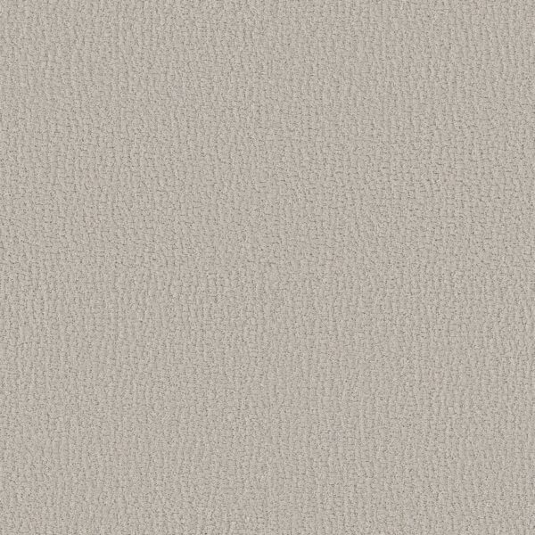 Shaw Floors Carpet Studio Set Forest Fog 00107_5E869