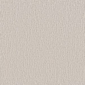 Shaw Floors Carpet Studio Set Scotch Mist 00109_5E869