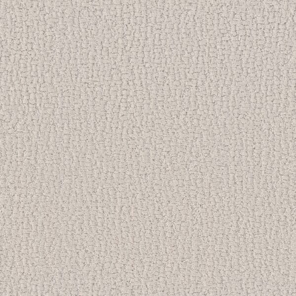 Shaw Floors Carpet Studio Set Scotch Mist 00109_5E869