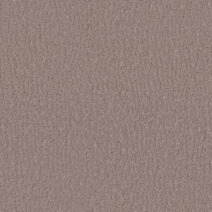 Shaw Floors Carpet Studio Set Kindling 00113_5E869