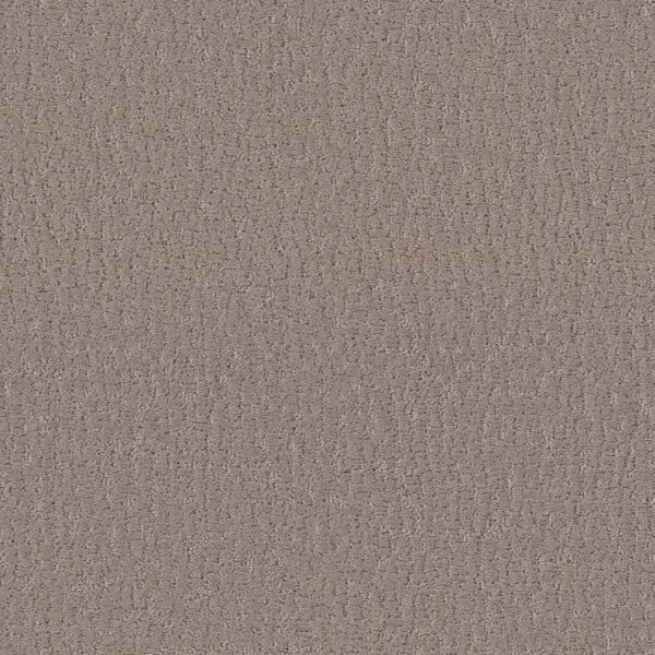 Shaw Floors Carpet Studio Set Kindling 00113_5E869