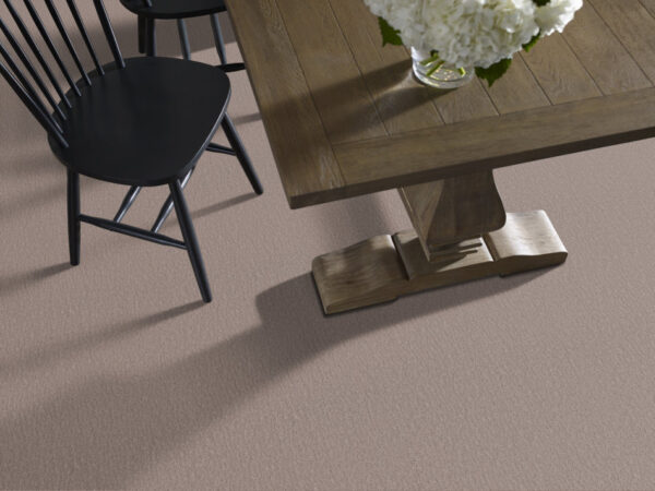 Shaw Floors Carpet Studio Set Kindling 00113_5E869 - Image 2