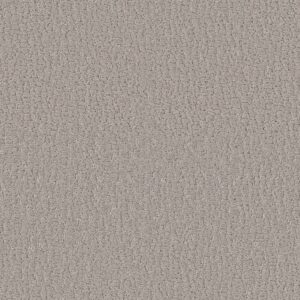Shaw Floors Carpet Studio Set Sandstone 00115_5E869