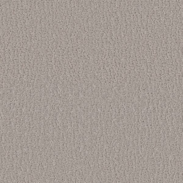 Shaw Floors Carpet Studio Set Sandstone 00115_5E869