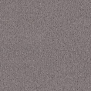 Shaw Floors Carpet Studio Set Fallen Acorn 00501_5E869
