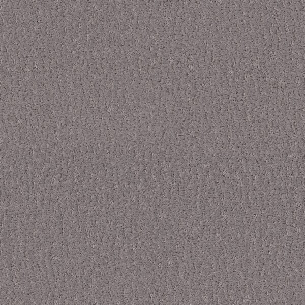 Shaw Floors Carpet Studio Set Fallen Acorn 00501_5E869