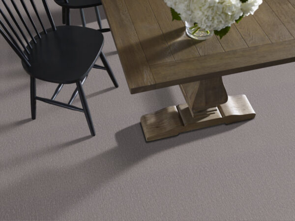 Shaw Floors Carpet Studio Set Fallen Acorn 00501_5E869 - Image 2