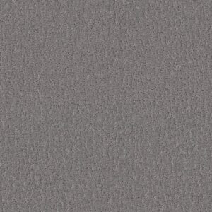 Shaw Floors Carpet Studio Set Lunar Haze 00509_5E869