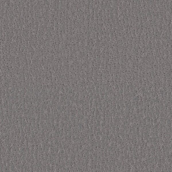 Shaw Floors Carpet Studio Set Lunar Haze 00509_5E869
