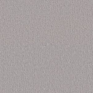 Shaw Floors Carpet Studio Set Sterling 00556_5E869