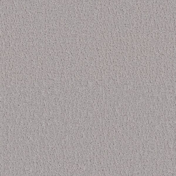 Shaw Floors Carpet Studio Set Sterling 00556_5E869