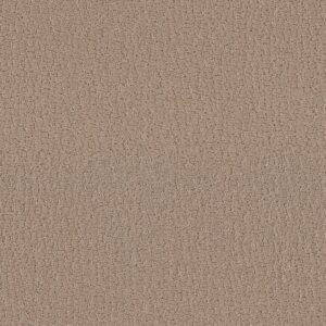 Shaw Floors Carpet Studio Set Worn Path 00700_5E869